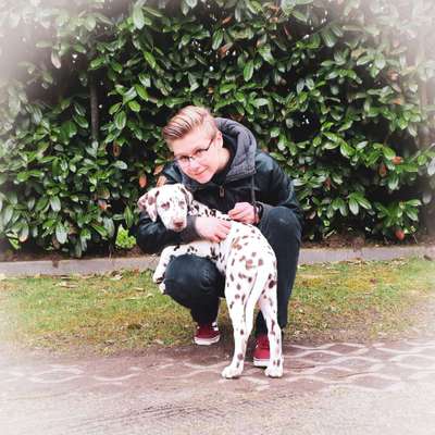 Welpen Bilder !-Beitrag-Bild