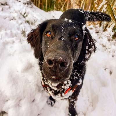 Fotochallange Nr. 57     PORTRÄT.   Beendet!!!!!!!!-Beitrag-Bild