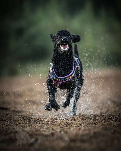 FOTO CHALLENGE Thema ,,durchdrehen"-Beitrag-Bild