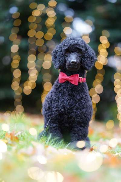 Austausch zur Fotografie-Beitrag-Bild