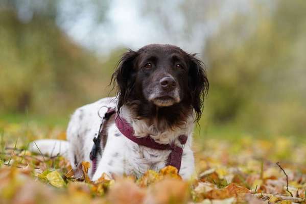 Austausch zur Fotografie-Beitrag-Bild