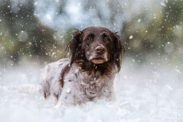 Austausch zur Fotografie-Beitrag-Bild