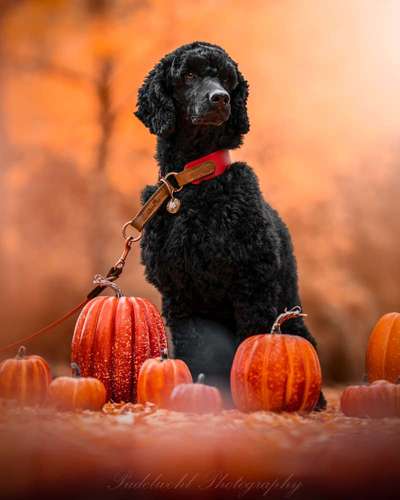 Austausch zur Fotografie-Beitrag-Bild