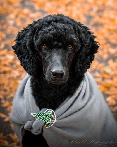 Austausch zur Fotografie-Beitrag-Bild