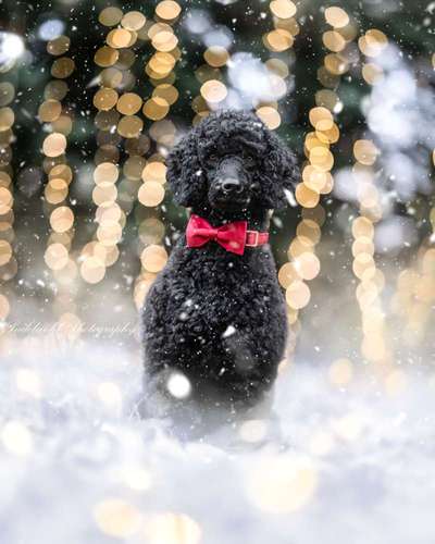 Austausch zur Fotografie-Beitrag-Bild