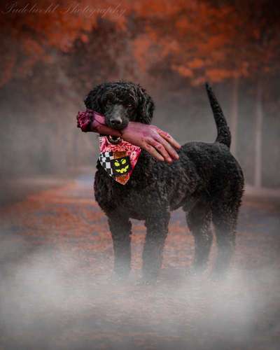 Austausch zur Fotografie-Beitrag-Bild