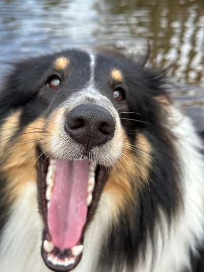 146. Foto Challenge: Maulaufreisser-Beitrag-Bild