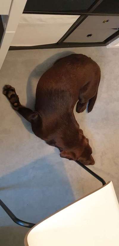 Die unbequemsten und lustigsten Schlafpositionen-Beitrag-Bild