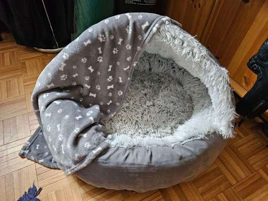 Hundehöhle für grössere Hunde-Beitrag-Bild