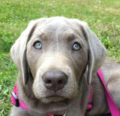 Fotochallange Nr. 57     PORTRÄT.   Beendet!!!!!!!!-Beitrag-Bild