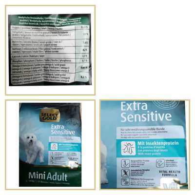 Futter für allergiker-Beitrag-Bild