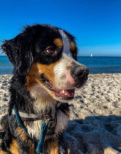 Fotochallange Nr. 57     PORTRÄT.   Beendet!!!!!!!!-Beitrag-Bild