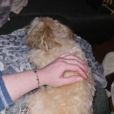 Wie habt ihr den Silvesterabend verbracht?-Beitrag-Bild