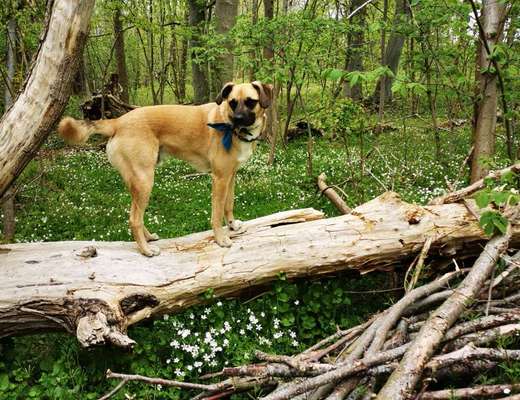 Fotowettbewerb Natur-Beitrag-Bild