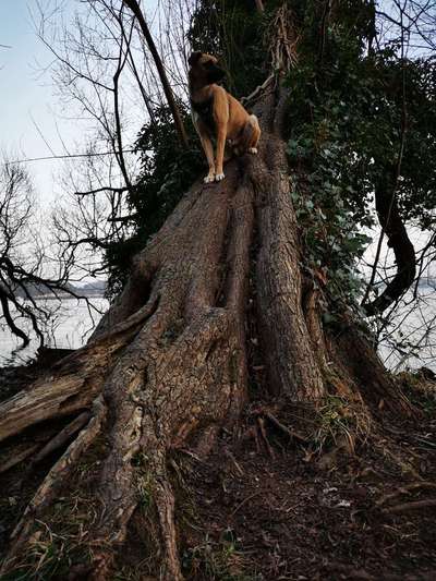 Fotowettbewerb Natur-Beitrag-Bild