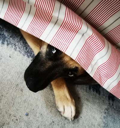 4. Lustiger Schlafplatz-Beitrag-Bild