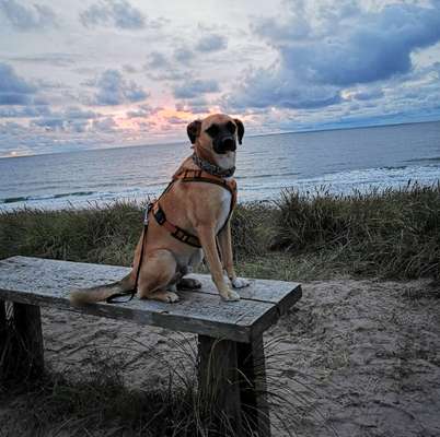 10. Farben Foto-Challenge ---- Blau-Beitrag-Bild