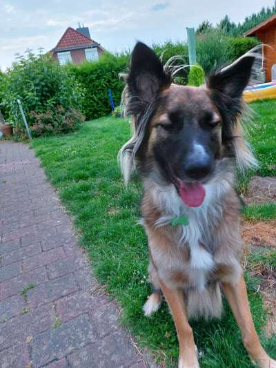 Zeigt mir die tollste Nahaufnahme von eurer Fellnase-Beitrag-Bild