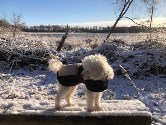 Dogorama Photo Challenge - Es wird nochmal kalt!-Beitrag-Bild