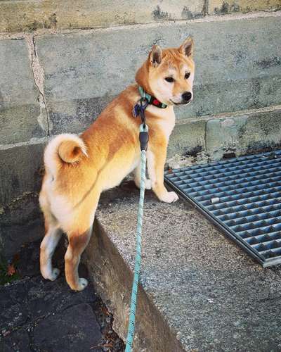 Zeigt eure Portraits-Beitrag-Bild