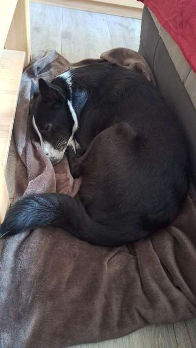 Austausch zur Fotografie-Beitrag-Bild