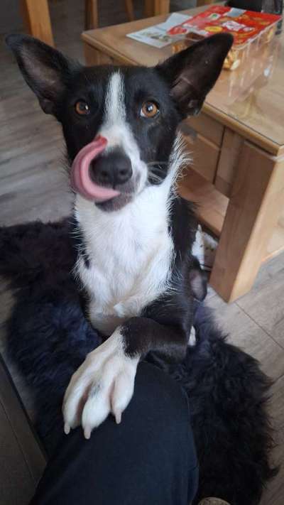 Austausch zur Fotografie-Beitrag-Bild