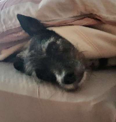 Challenge 21 - wo bin ich : )-Beitrag-Bild