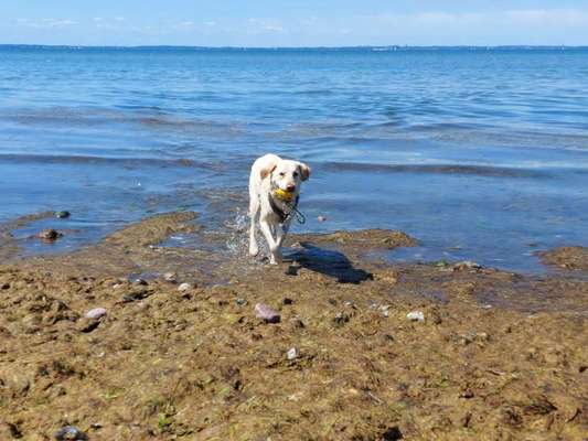 Zeige deinen Schatz mit seinem Lieblingsspielzeug.-Beitrag-Bild