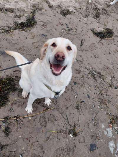 Zauberhaftes lächeln-Beitrag-Bild