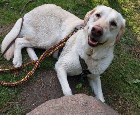 Lieblingsbild-Beitrag-Bild