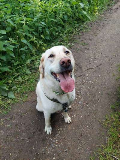 Tongue Out Tuesday-Beitrag-Bild