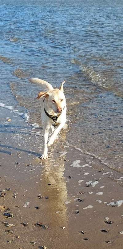 Theos  Fotochallenge Nummer 2-Beitrag-Bild