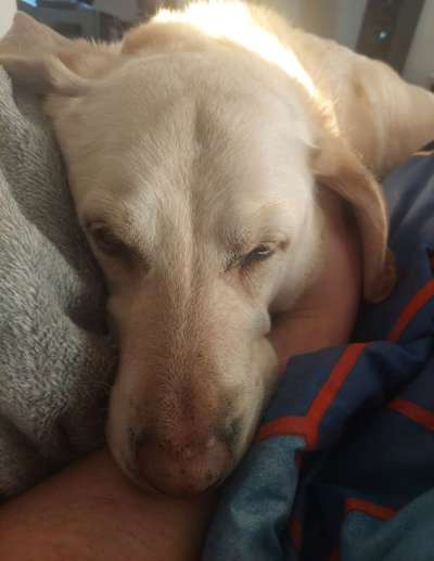 Foto Challenge Nr. 134-Beitrag-Bild