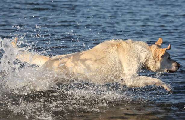 35. Handy Foto Challenge - Das nasse Element-Beitrag-Bild