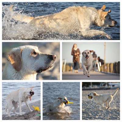 37. Collagen Challenge- Am Strand-Beitrag-Bild