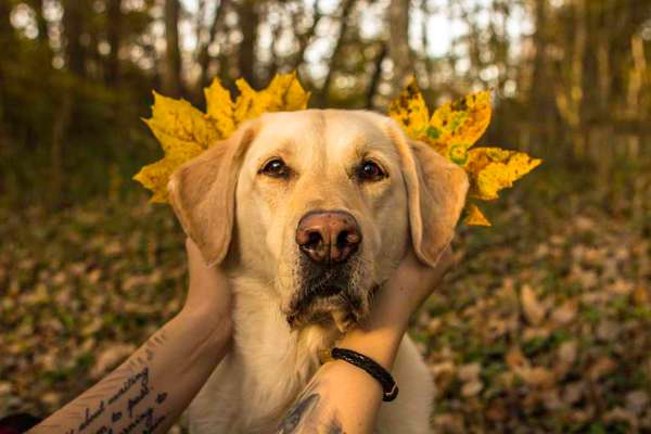 Fotochallange Nr. 57     PORTRÄT.   Beendet!!!!!!!!-Beitrag-Bild