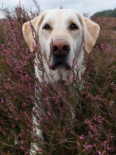 Lieblingsbild-Beitrag-Bild