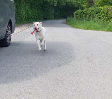 Zeige deinen Schatz mit seinem Lieblingsspielzeug.-Beitrag-Bild