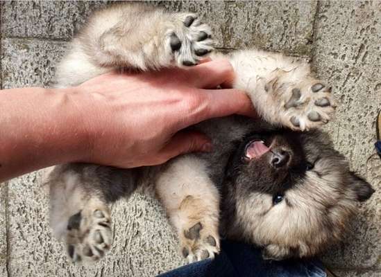 Erstes Bild-Beitrag-Bild