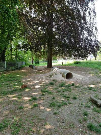 Hundeauslaufgebiet-Hauptstraße-Bild