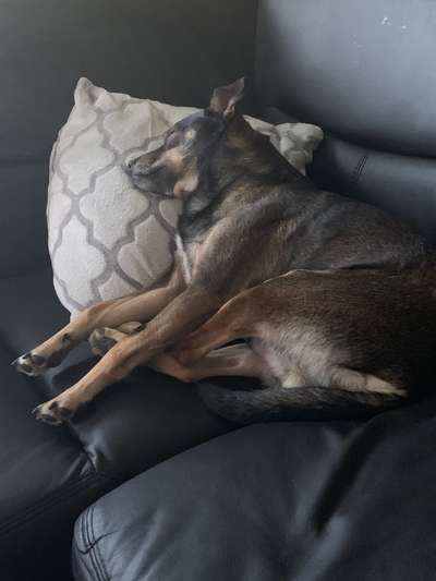 Die unbequemsten und lustigsten Schlafpositionen-Beitrag-Bild