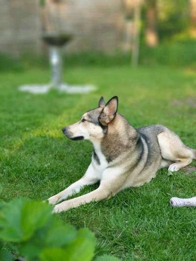 Lieblingsbild-Beitrag-Bild