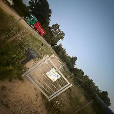 Hundeauslaufgebiet-Hundewiese Kelkheim Industriegebiet-Bild