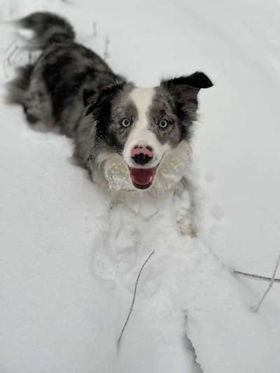 Lieblingsbild :D-Beitrag-Bild