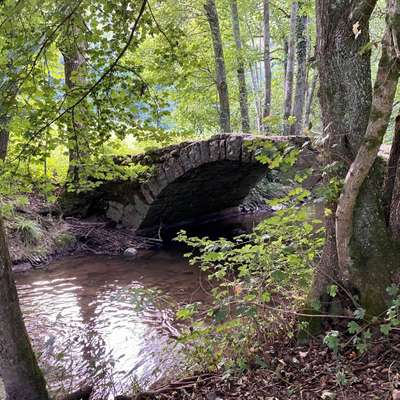 Hundeauslaufgebiet-Buchenbachtal bei Wolfsöden-Bild