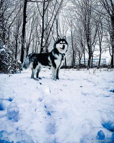 Challenge Nr. 15
Spiel im Schnee-Beitrag-Bild