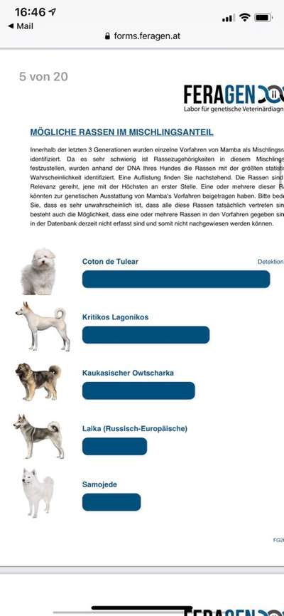 DNA-Tests-Beitrag-Bild