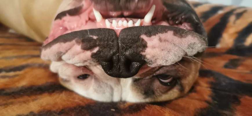 Fotochallenge Nr.122-Beitrag-Bild