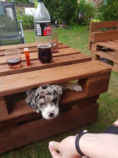 Fotochallenge Nr. 67: Euer Lieblingsbild-Beitrag-Bild