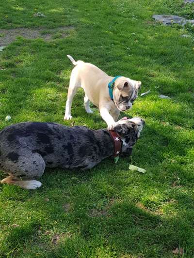 Fotochallenge Nr. 67: Euer Lieblingsbild-Beitrag-Bild